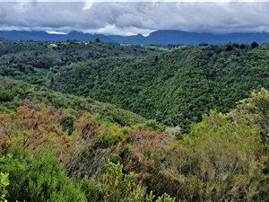 1143 m² Land available in Ballots Bay