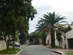 3 Bed House in Sunninghill