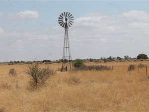 714 ha Farm in Schweizer Reyneke