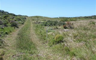 9006 m² Land available in St Francis Field
