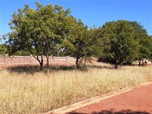 308 m² Land available in Mookgophong (Naboomspruit)