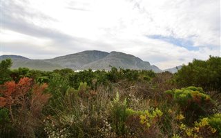 750 m² Land available in Bettys Bay