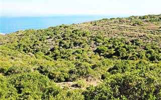 800 m² Land available in Pinnacle Point Golf Estate