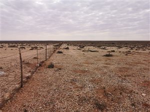 2819.2 ha Farm in Kenhardt