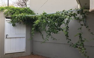 1 Bedroom Apartment in Bredell AH