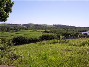 1313 m² Land available in Freeland Park