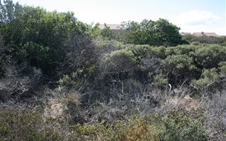 980 m² Land available in Village On Sea