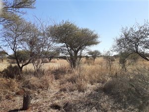 550 ha Farm in Modimolle