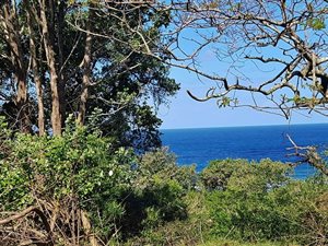 1387 m² Land available in Woodgrange