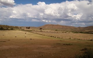 321 ha Farm in Bethlehem