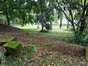 1.3 ha Land available in Hillcrest Central