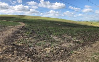 40 ha Farm in Stanger