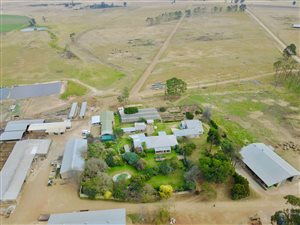 809 ha Farm in Vryheid