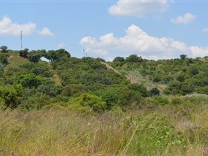 21 ha Land available in Shere