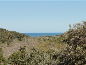 824 m² Land available in Cintsa