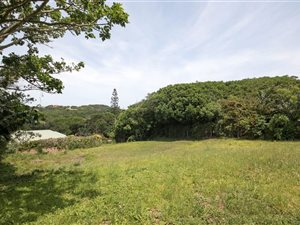 1003 m² Land available in Port Alfred
