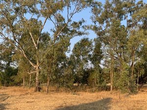 3.4 ha Land available in Chartwell