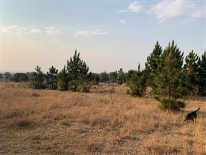 3.4 ha Land available in Chartwell