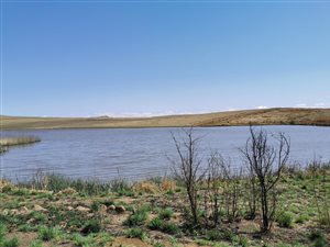 184.2 ha Farm in Underberg