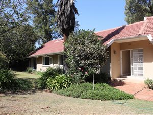 4 Bed House in Hurlingham