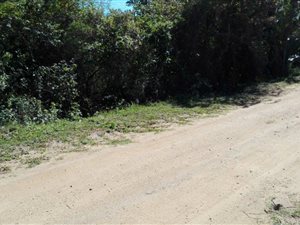 1349 m² Land available in Palm Beach