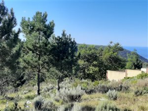 420 m² Land available in Pacaltsdorp
