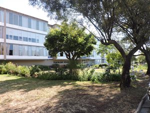 2 Bed Apartment in Florida Park