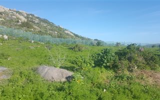 697 m² Land available in White City
