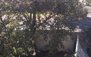 2 Bedroom Townhouse in Edenglen