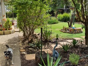 4 Bed House in Penhill