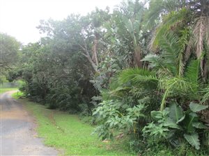 1619 m² Land available in Glenmore