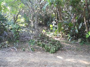 1350 m² Land available in Munster