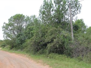 1191 m² Land available in Bathurst and Surrounds
