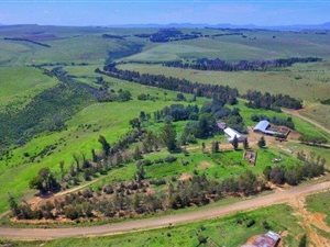 945 ha Farm in Harrismith