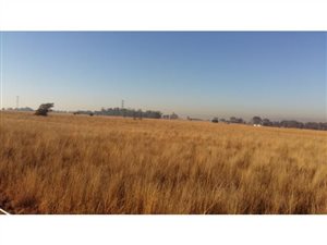 8.1 ha Land available in Honingnestkrans