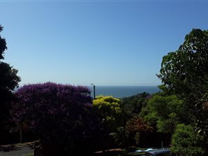 4 Bed House in Shelly Beach