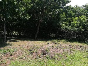 543 m² Land available in Pennington