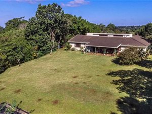 3 Bed House in Forest Hills