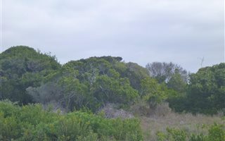 600 m² Land available in Kleinbaai