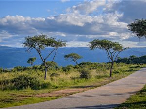 1 ha Land available in Likweti Bushveld Farm Estate