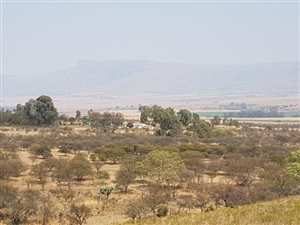 334 ha Farm in Lydenburg