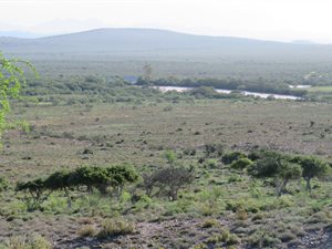 1077.7 ha Farm in Steytlerville