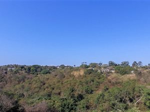 2 ha Land available in Illovo Glen
