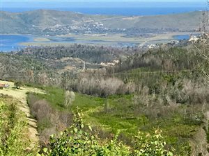 101 ha Farm in Knysna Central