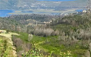 101 ha Farm in Knysna Central