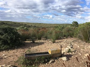 433 ha Farm in Stilbaai