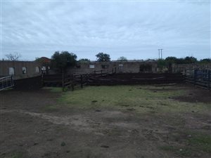 1 Bedroom House in Dewetsdorp