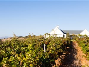 4.1 ha Farm in Stellenbosch Central