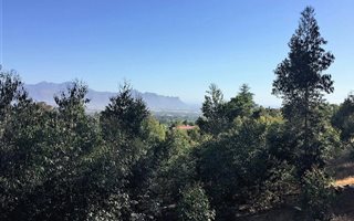 1.2 ha Land available in Spanish Farm