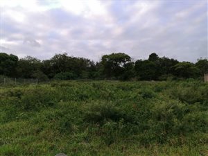 1145 m² Land available in Birdswood